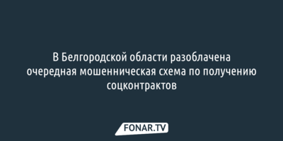 В Белгородской области разоблачена очередная мошенническая схема по получению соцконтрактов