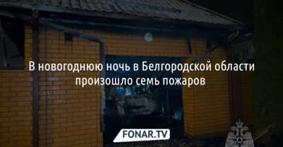 В новогоднюю ночь в Белгородской области произошло семь пожаров