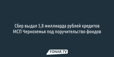  Сбер выдал 5,8 миллиарда рублей кредитов МСП Черноземья под поручительство фондов
