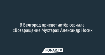 В Белгород приедет актёр сериала «Возвращение Мухтара» Александр Носик