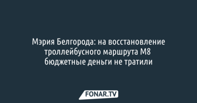Мэрия Белгорода: на восстановление троллейбусного маршрута М8 бюджетные деньги не тратили