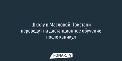 Школу в Масловой Пристани переведут на дистанционное обучение после каникул