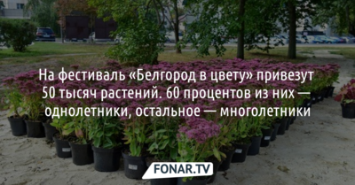На фестиваль «Белгород в цвету» привезут 50 тысяч растений