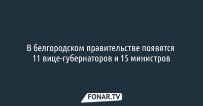 СМИ: В обновлённом белгородском правительстве будут 11 вице-губернаторов и 15 министров