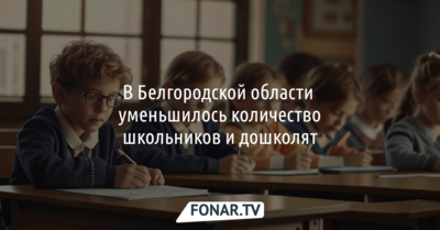 В Белгородской области уменьшилось количество школьников и дошколят 