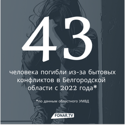 43 человека погибли из-за бытовых конфликтов в Белгородской области с 2022 года