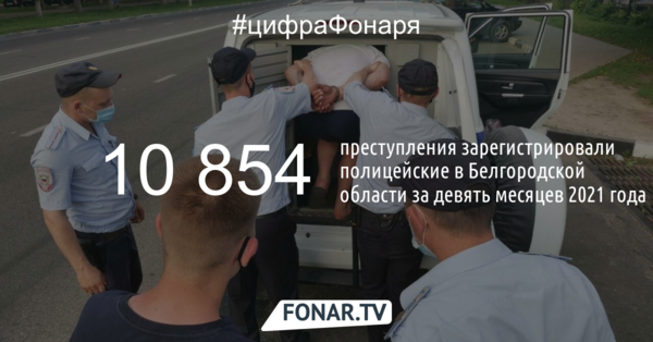 Регион безопасности. Как за год поменялась статистика преступлений в Белгородской области 