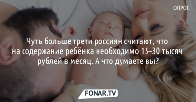 Чуть больше трети россиян считают, что на содержание ребёнка необходимо 15–30 тысяч рублей в месяц. А что думаете вы? [опрос]