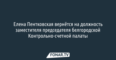 Елена Пентковская вернётся на должность заместителя председателя белгородской Контрольно-счетной палаты