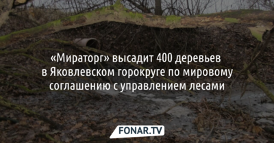 «Мираторг» высадит 400 деревьев в Яковлевском горокруге по мировому соглашению с управлением лесами