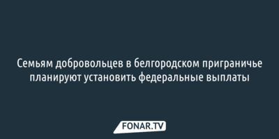 Семьям добровольцев в белгородском приграничье планируют установить федеральные выплаты
