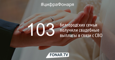 103 белгородских семьи получили свадебные выплаты в связи с СВО