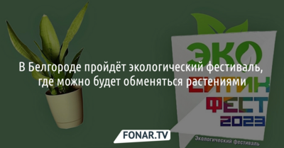 Белгородцы смогут бесплатно обменяться растениями на экологическом фестивале