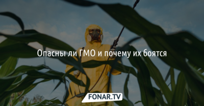  Plus-one.ru: почему все так боятся ГМО и опасны ли они для человека