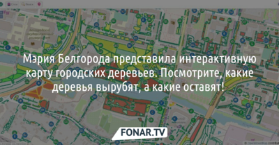 Мэрия Белгорода представила интерактивную карту городских деревьев