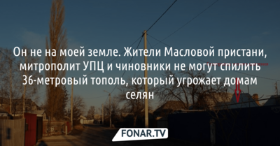 Жители Масловой Пристани, митрополит УПЦ и чиновники не могут спилить 36-метровый тополь, который угрожает домам селян