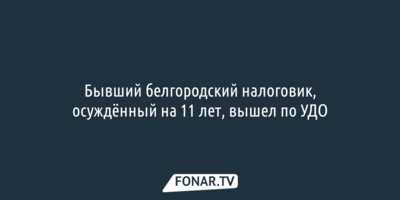 Бывший белгородский налоговик, осуждённый на 11 лет, вышел по УДО