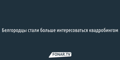 За год белгородцы стали больше интересоваться квадробингом в интернете