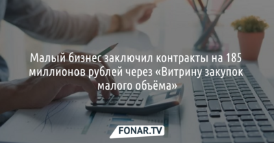 Малый бизнес заключил контракты на 185 миллионов рублей через «Витрину закупок малого объёма»*