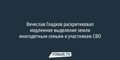 Вячеслав Гладков раскритиковал медленное выделение земли многодетным семьям и участникам СВО 