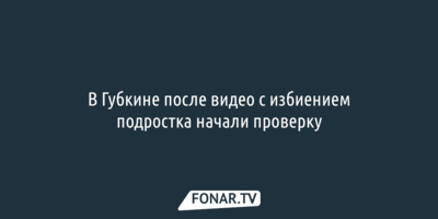 Белгородский оперштаб ответил на жалобы жителей Разумного на работу МОГов