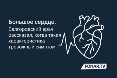 Большое сердце. Белгородский врач рассказал, когда такая характеристика — тревожный симптом