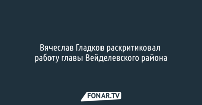Вячеслав Гладков раскритиковал работу главы Вейделевского района