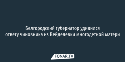 Белгородский губернатор удивился ответу чиновника из Вейделевки многодетной матери 