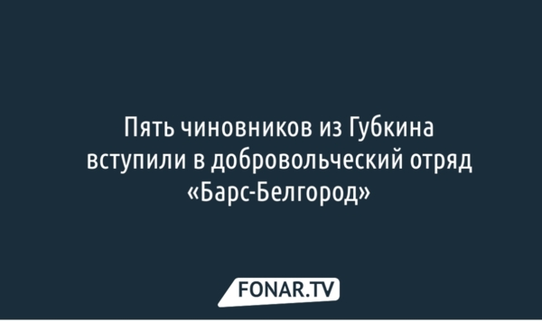 Пять чиновников из Губкина вступили в добровольческий отряд «Барс-Белгород»