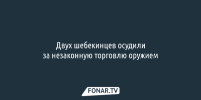 Двух шебекинцев осудили за незаконную торговлю оружием