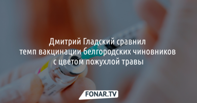 Дмитрий Гладский сравнил темп вакцинации белгородских чиновников с цветом пожухлой травы