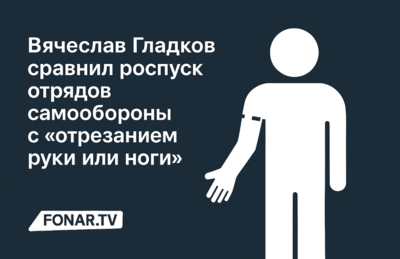 Вячеслав Гладков сравнил роспуск отрядов самообороны с «отрезанием руки или ноги»