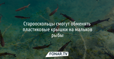 Старооскольцы смогут обменять пластиковые крышки на мальков рыбы