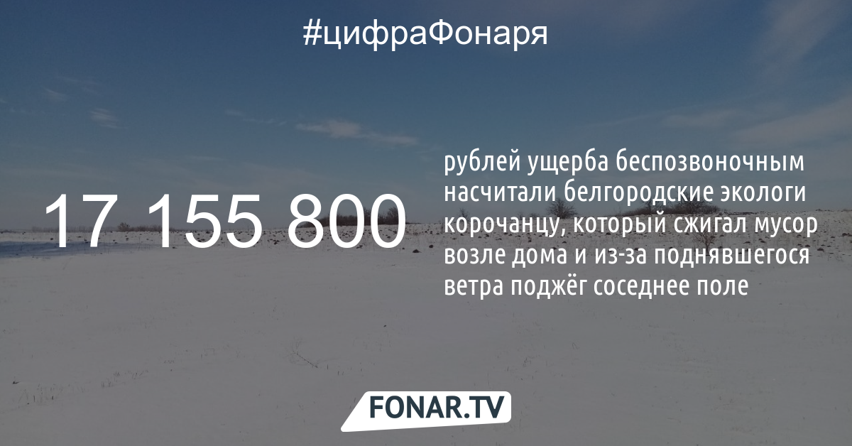 Жителя Корочанского района обязали выплатить 17 миллионов рублей за сгоревшее поле