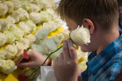 В Белгороде пройдёт благотворительный месячник «Белый цветок»