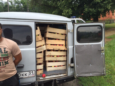 В Белгородской области на границе задержали автомобиль с 600 килограммами яблок