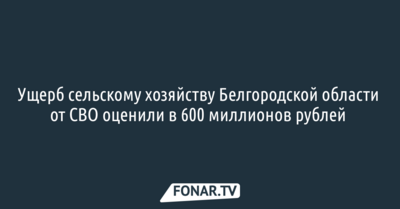 Ущерб сельскому хозяйству Белгородской области от СВО оценили в 600 миллионов рублей