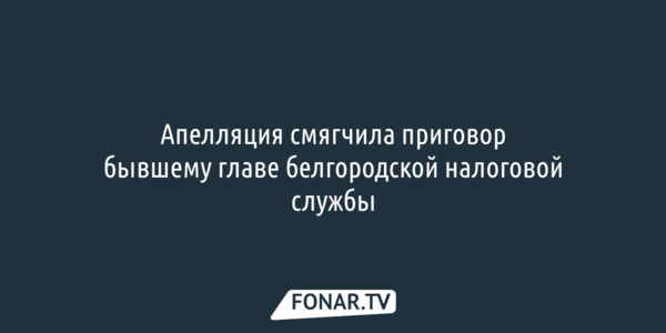 Апелляция смягчила приговор бывшему главе белгородской налоговой службы