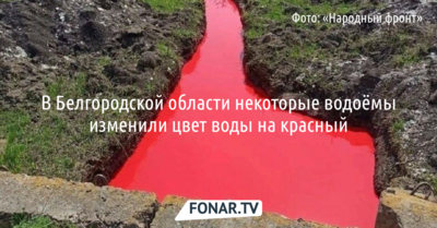  В Белгородской области в двух водоёмах цвет воды изменился на красный