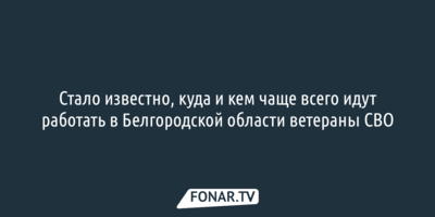 Стало известно, куда и кем чаще всего идут работать в Белгородской области ветераны СВО