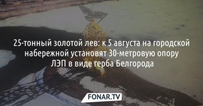 25-тонный золотой лев: к 5 августа на городской набережной установят 30-метровую опору ЛЭП в виде герба Белгорода 