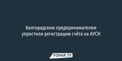 Белгородским предпринимателям упростили регистрацию счёта на АУСН