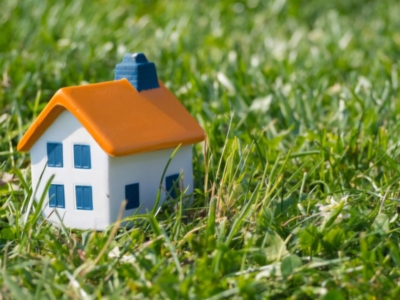 За 500 рублей ветераны СВО получат земельные участки 