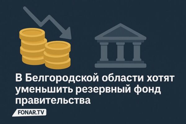 В Белгородской области хотят уменьшить резервный фонд правительства