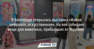 В Белгороде открылась выставка Анны Лалаян
