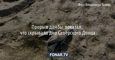 Прорыв дамбы показал, что скрывало дно Северского Донца