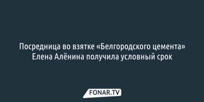 В силу вступил приговор посреднице во взятке по делу директора «Белгородского цемента»