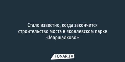 Стало известно, когда закончится строительство моста в яковлевском парке «Маршалково» 