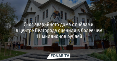 Снос дома с пчёлами в центре Белгорода оценили более чем в 11 миллионов рублей
