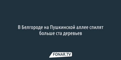 В Белгороде на Пушкинской аллее спилят больше ста деревьев